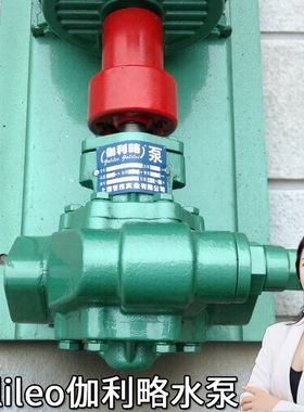 油罐输油泵10齿轮式输油泵油研内啮合齿轮泵ybd油泵kcb133齿轮泵