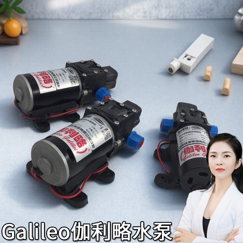 采购微型海水高温高压水泵超高压电动清洗车轻巧洗澡打药泵喷雾泵