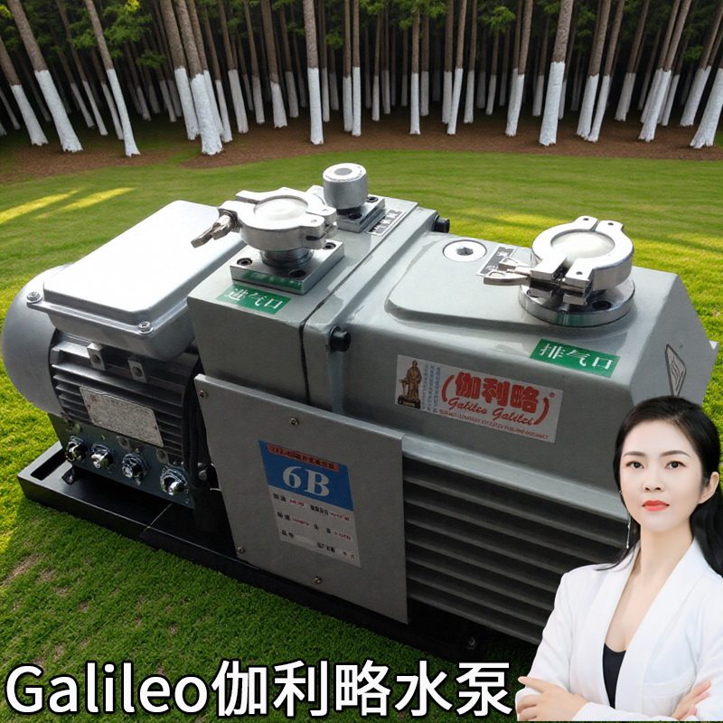 上海浙江进口防爆2xz系列双级负压力高分子小微型旋抽真空气泵