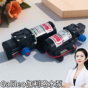 意大利四元广东24直流量高压泵水泵大灯小型的压力清洗车伽利略泵
