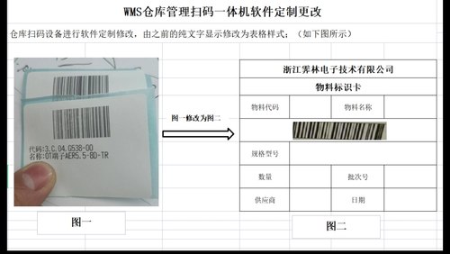 软件定制标签样式