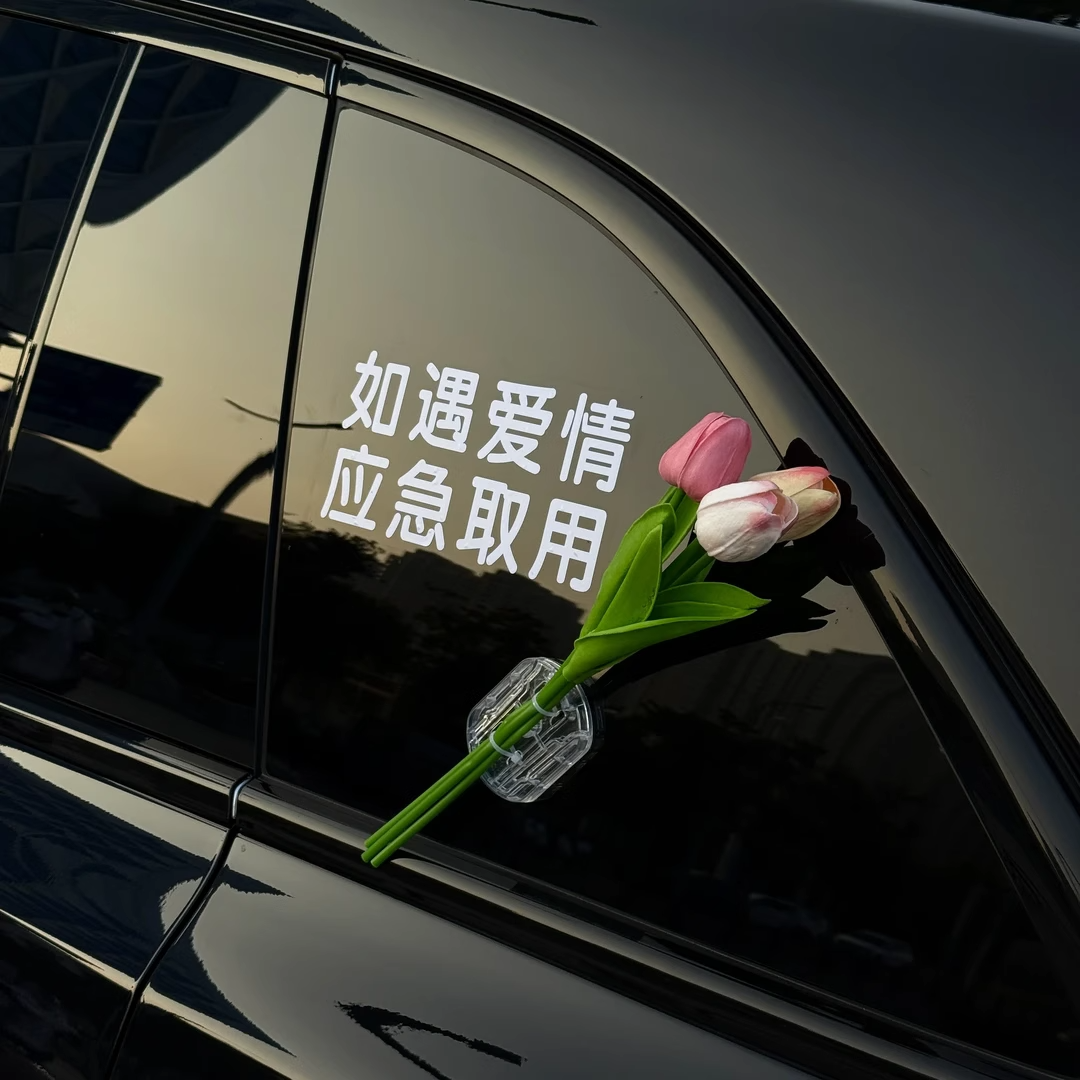 【如遇爱情】如遇爱情应急取用
