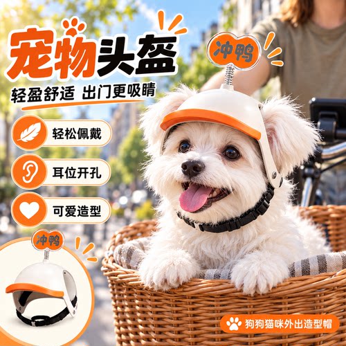 【外出安全好物】宠物摩托车头盔
