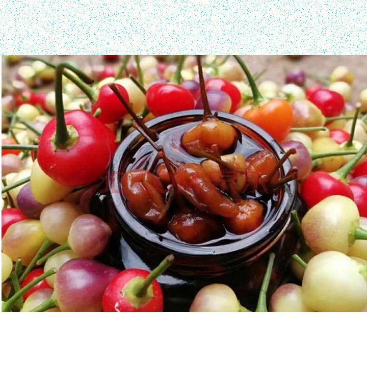 七彩泡椒金姐横县特产爽脆下饭菜