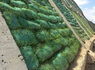绿色植生袋护坡袋大蒜网袋绿化袋网眼袋蔬菜种草袋玉米袋批发厂