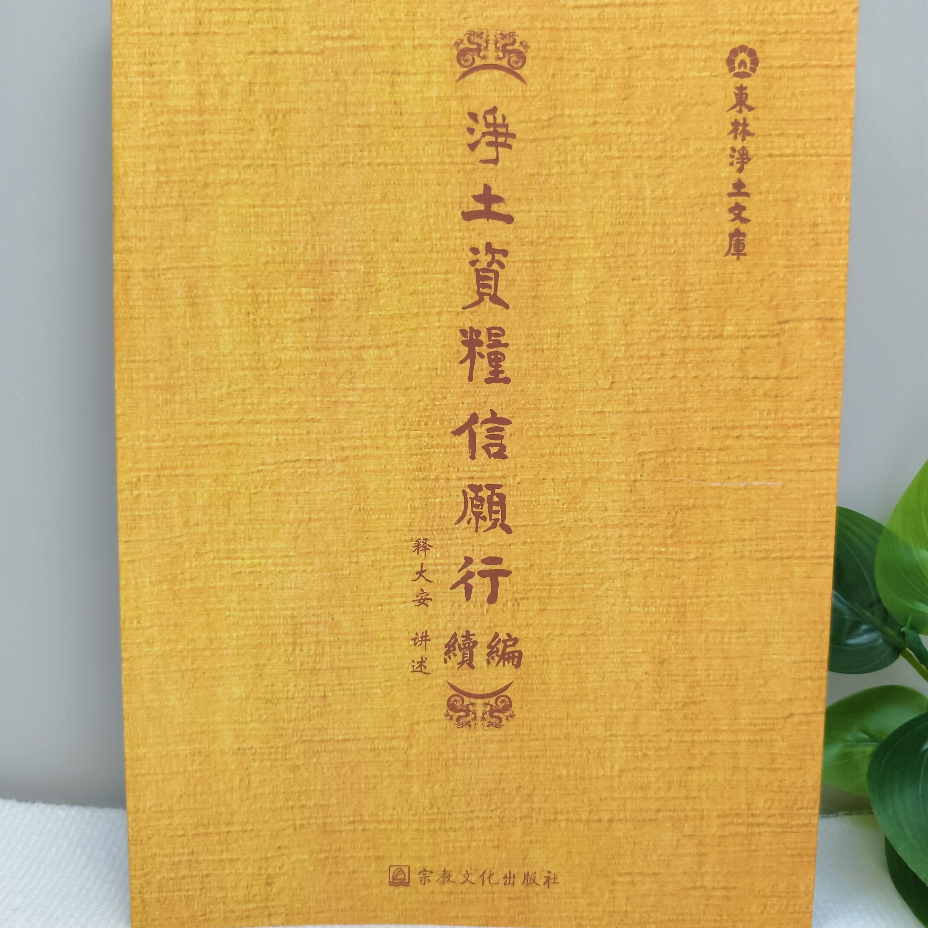净土资粮信愿行续编 释大安讲述 宗教文化出版社