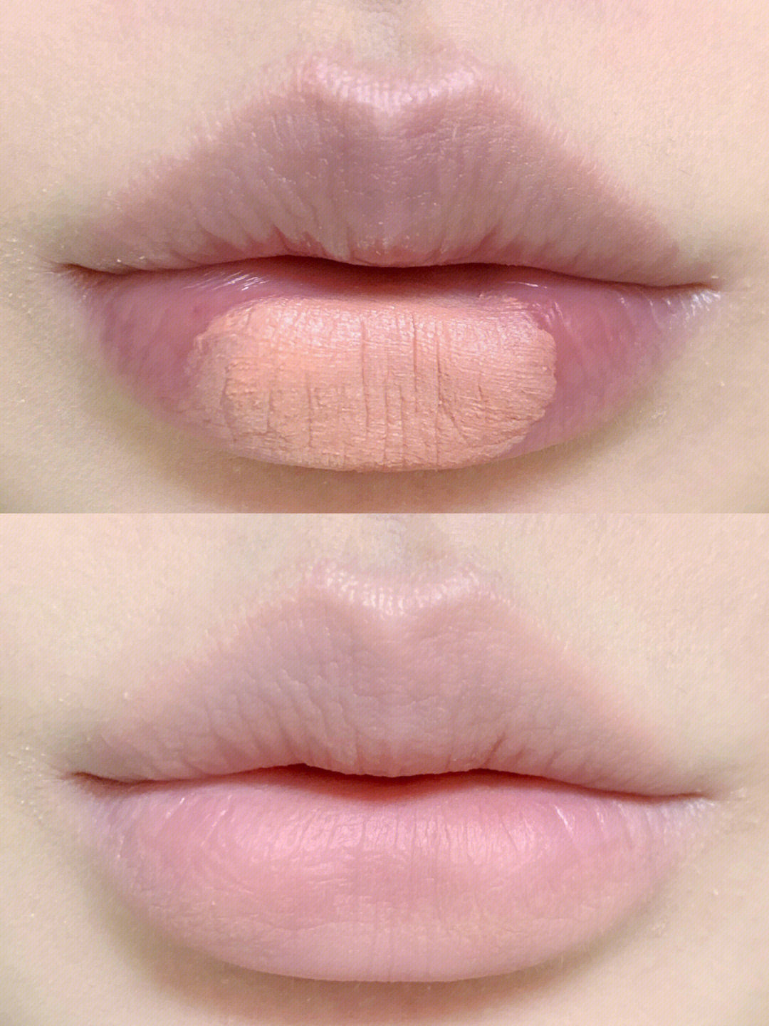 花洛莉亚唇部打底色唇霜02