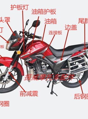 光速双鹰摩托车GS150-24W/SY150-24W魔影酷尚汽油箱护板侧边盖灯