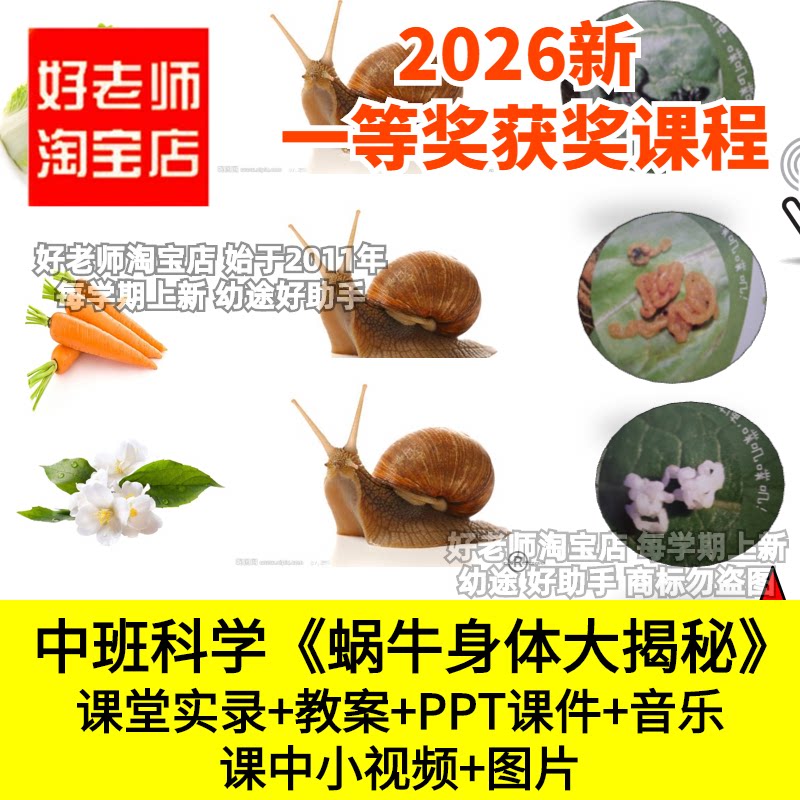 好老师淘宝店中班科学《蜗牛身体大揭秘》幼儿园优质公开课件