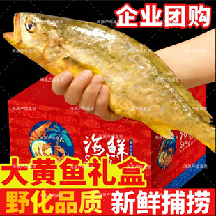 野生大黄鱼海鲜礼盒装大礼包深海新鲜冷冻特大野生黄花鱼春节年货