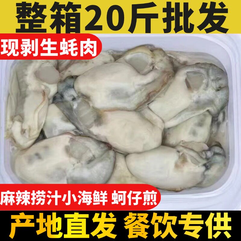 生蚝肉新鲜鲜活现剥冷冻牡蛎肉去壳纯肉海鲜纯蚝仔海鲜35-50粒/斤