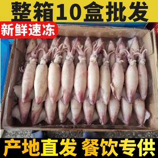 新鲜冷冻大海兔笔管鱼海捕急冻海鲜小鱿鱼墨鱼籽乌捞汁墨鱿仔 5盒