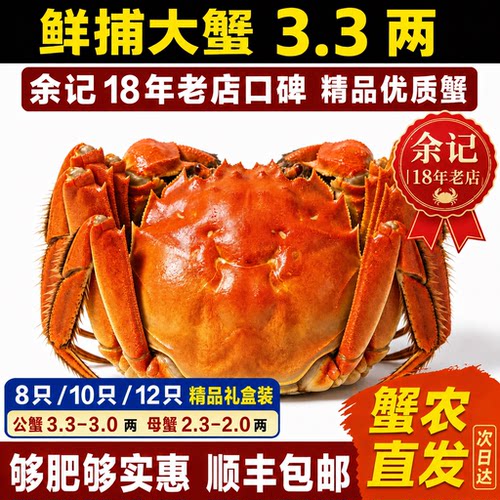 中秋海鲜礼盒大闸蟹3.3两公母蟹