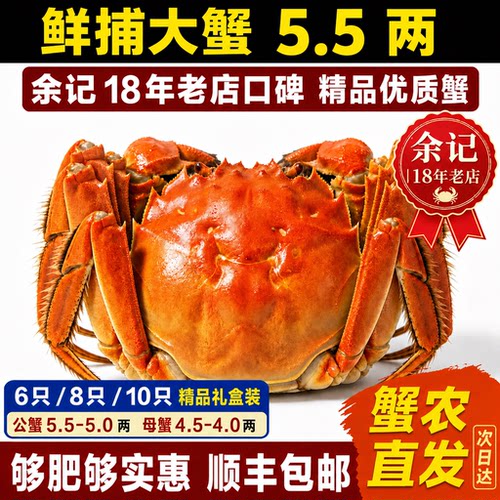 高档中秋海鲜礼盒大闸蟹全母蟹