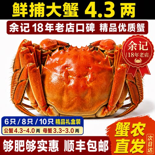 中秋海鲜礼盒大闸蟹8只装