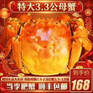 包邮 17年余记大闸蟹母蟹3.3两公母10只顺丰 礼中秋螃蟹盒 活蟹