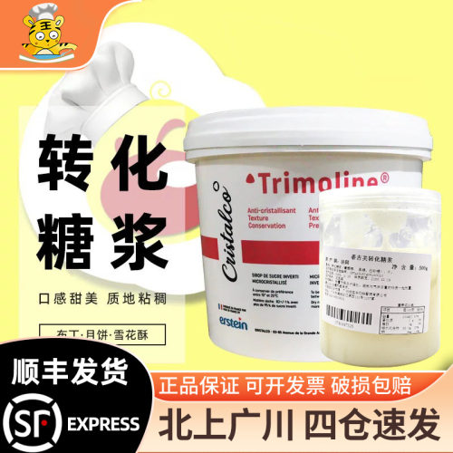 DGF迪吉福转化糖浆500g装