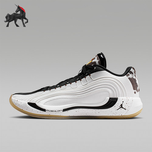 Nike/耐克正品JORDAN男士耐磨实战训练运动缓震篮球鞋IB7904-100