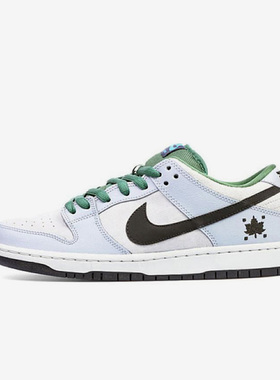 Nike/耐克正品Dunk SB 男子潮流舒适百搭低帮板鞋313170-021