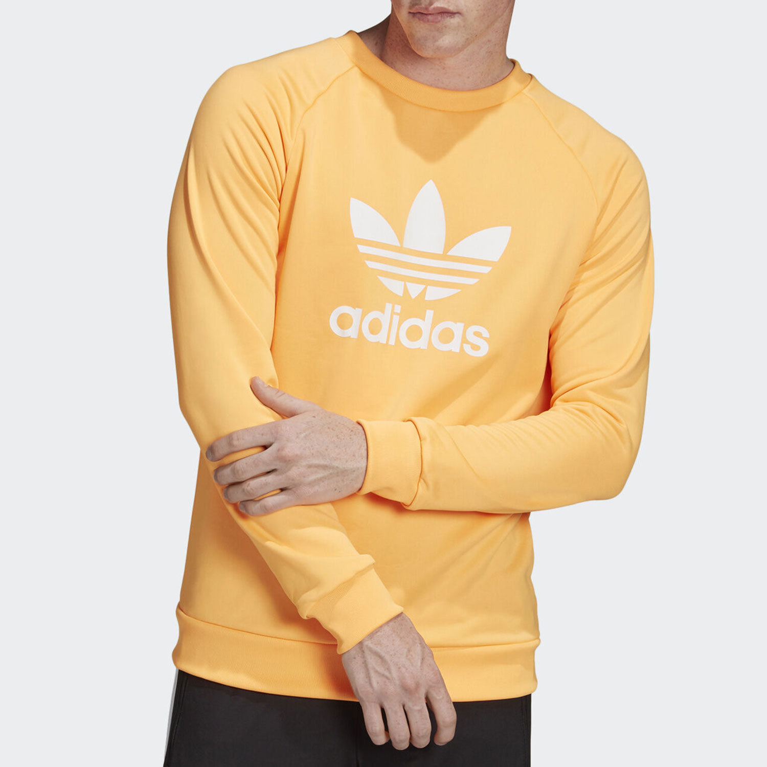Adidas/阿迪达斯正品三叶草春季新款男子圆领卫衣EJ9679,运动服/休闲服装,运动卫衣/套头衫,淘宝优惠券,粉丝福利购,淘宝优惠卷