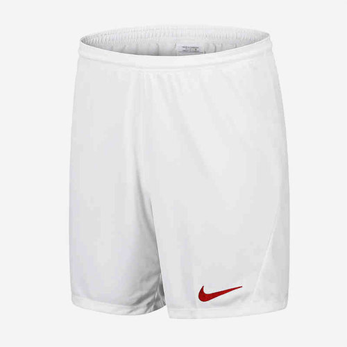 Nike/耐克正品男子短裤