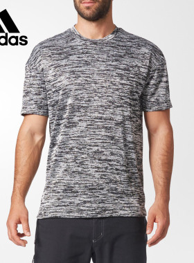 Adidas/阿迪达斯正品新款Terrex男子休闲运动短袖T恤 CD9109