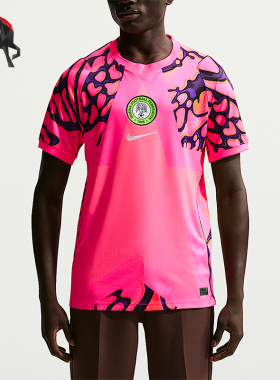Nike/耐克正品尼日利亚队男士圆领透气足球运动印花T恤IB5313-645