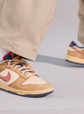 Nike/耐克正品Dunk Low Retro SE男女复古轻便板鞋HQ3640-790