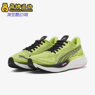 380081 Puma 运动厚底跑步鞋 女士缓震耐磨透气经典 彪马正品 新款