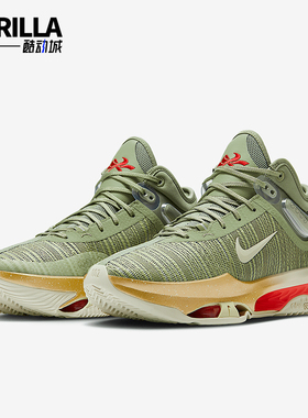 Nike/耐克正品AIR ZOOM G.T男士气垫缓震篮球鞋DJ9432-302