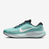 耐克正品 缓震耐磨运动跑步鞋 秋季 Nike 新款 男士 FN0228 300