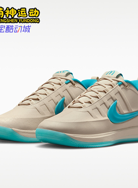 Nike/耐克正品四季款男士系带耐磨时尚篮球鞋IR6445-100
