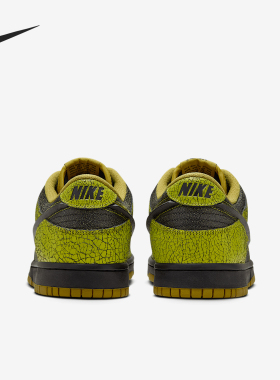 Nike/耐克正品2024新款男女同款复古时尚低帮板鞋HV6103-300