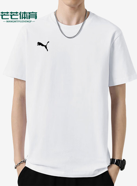 Puma/彪马正品teamGOAL Casuals Tee男士简约短袖658615-04