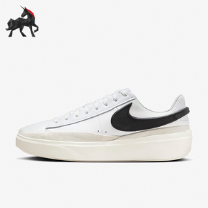 Nike/耐克正品休闲男士时尚透气运动低帮防滑绑带板鞋 HF3119-101