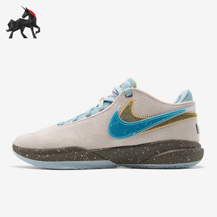 Nike/耐克正品LEBRON 20 EP男士经典缓震实战篮球鞋DV9089-801