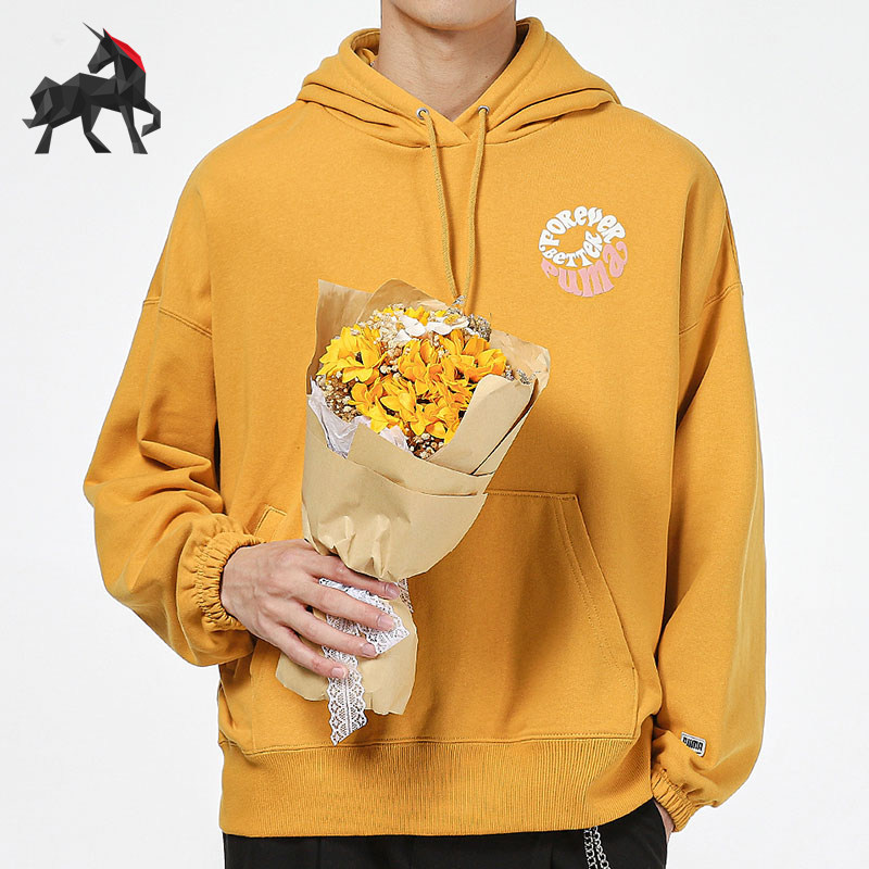 Puma/彪马正品2025新款女士时尚简约经典连帽卫衣套头衫533049-37