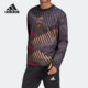 Adidas 德国队男子足球运动热身套头卫衣HC1285 阿迪达斯正品
