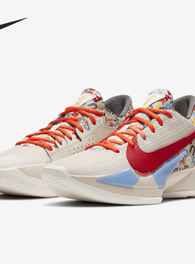 Nike/耐克正品ZOOM FREAK 2 新款男子运动训练篮球鞋 CW3162-001