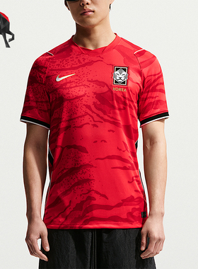 Nike/耐克正品Dri-FIT男士套头舒适经典训练短袖T恤IB5328-679