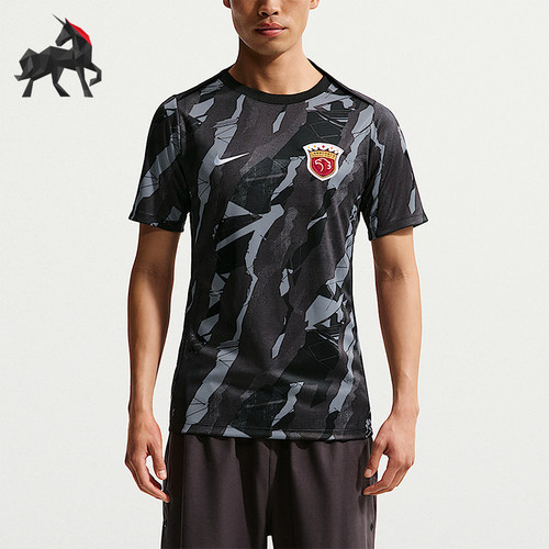 Nike/耐克正品Dri-FIT男运动赛前训练经典休闲短袖T恤IQ0523-010
