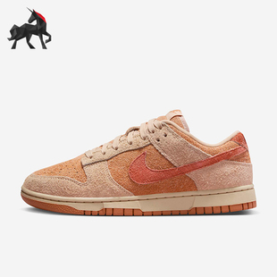 HF5075 Nike 复古潮流耐磨系带板鞋 运动女士时尚 287 耐克正品