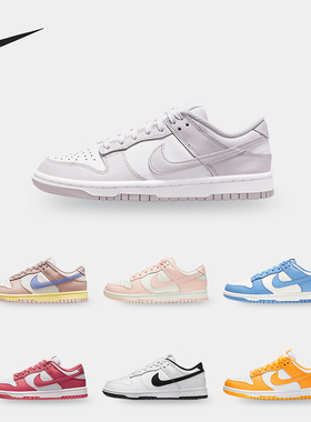 Nike/耐克正品Dunk Low女子运动休闲舒适轻便低帮板鞋 DD1503-120