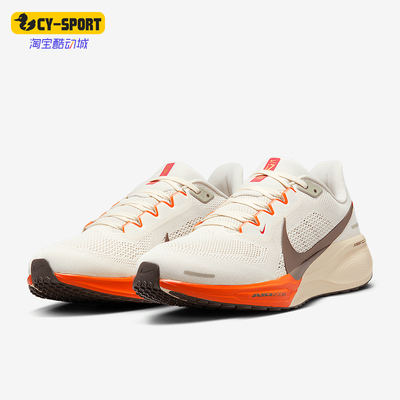 Nike/耐克正品Pegasus 41男士缓震透气公路跑步鞋HV5975-102