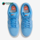 耐克正品 Pro男女低帮复古休闲板鞋 Dunk Nike Low FJ1674 401