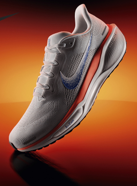 Nike/耐克正品Pegasus 41男士缓震公路运动系带跑步鞋 HF0013-900