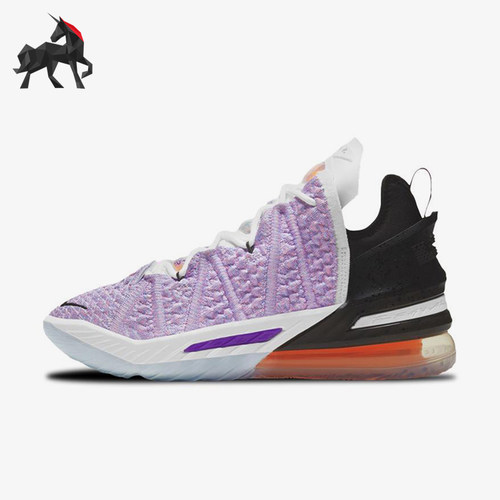 Nike/耐克正品男子篮球鞋
