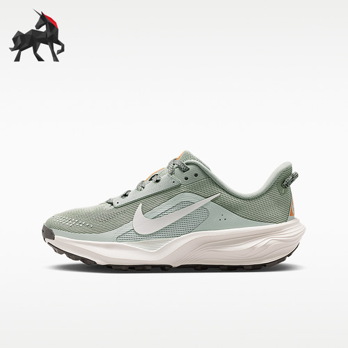 Nike/耐克正品ACG  GS女子大童透气支撑经典低帮跑步鞋IH2305-301