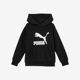 大童时尚 Puma 新款 春季 印花连帽套头休闲卫衣537142 彪马正品