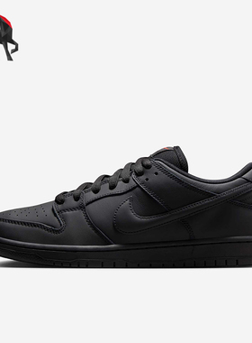 Nike/耐克正品Dunk SB男女同款系带简约透气日常板鞋FJ1674-001